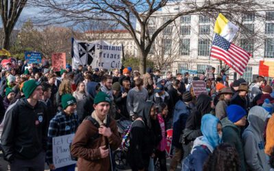 Report from the March for Life