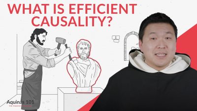 What is Efficient Causality?