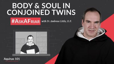 What is the relationship between soul and body in conjoined twins?