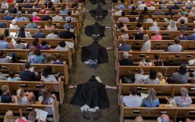 12 Men Profess First Vows