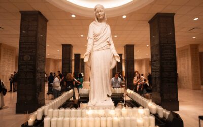 Letter from the Executive Director