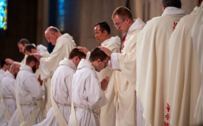 Letter from the Executive Director