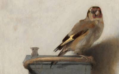Feathered Hope