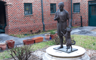 St. Joseph, Protector of Preachers